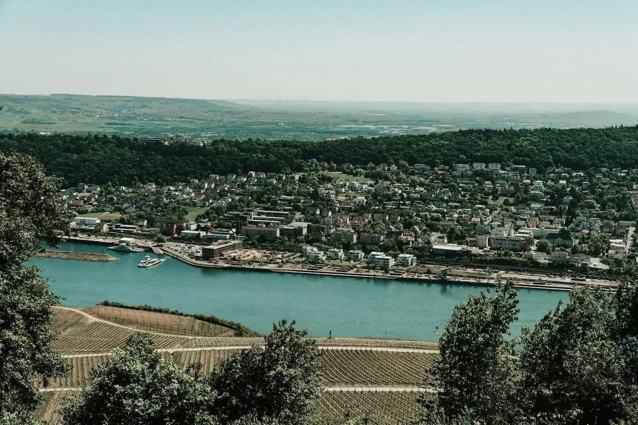 Neckartal mit Weinbergen und Stadtpanorama bei Heidelberg